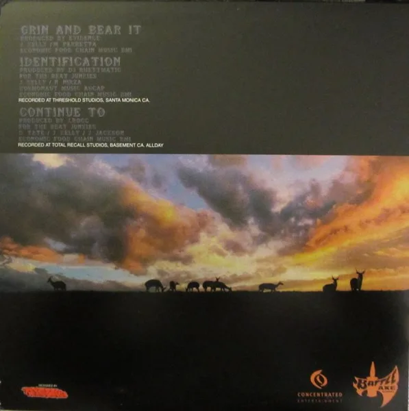 Album cover for Grin And Bear It / Identification / Continue To by LMNO (2)