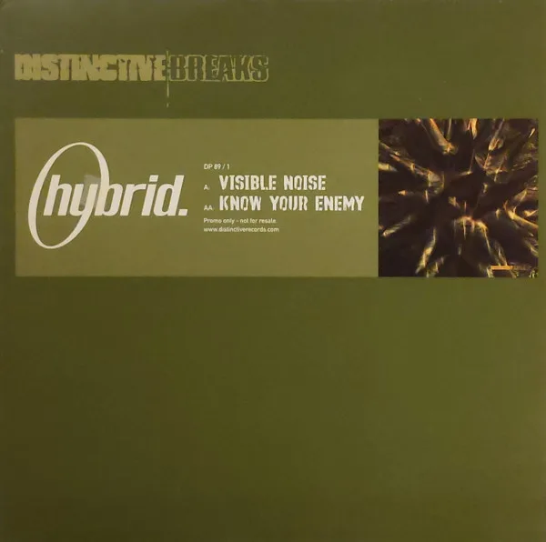 Visible Noise / Know Your Enemy