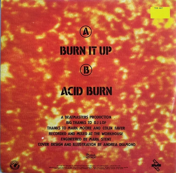 Album cover for Burn It Up by Beatmasters, The