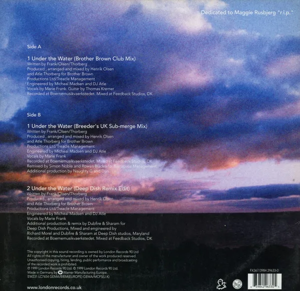 Album cover for Under The Water by Brother Brown Featuring Frank'ee