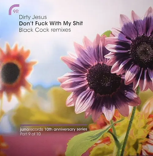 Don't Fuck With My Shit (Black Cock Remixes)
