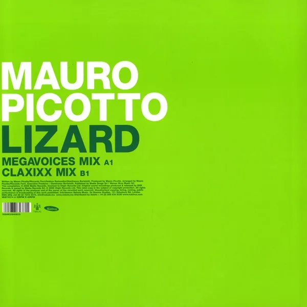 Album cover for Lizard by Mauro Picotto