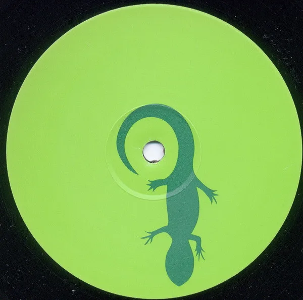 Album cover for Lizard by Mauro Picotto