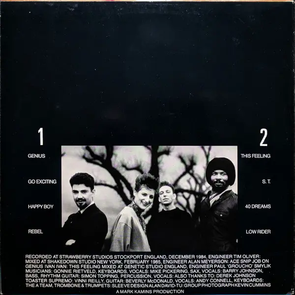 Album cover for Pigs + Battleships by Quando Quango