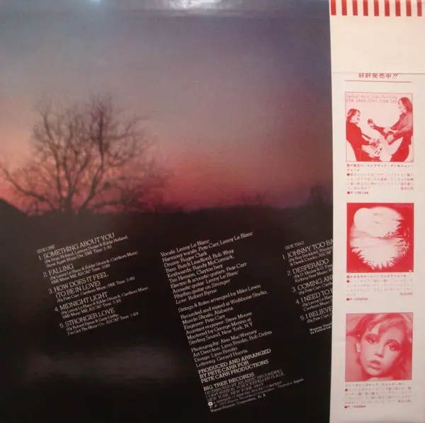 LeBlanc & Carr - Midnight Light - 1977 - Pop Rock - Big Tree Records - Vinyl 1x LP, Album
