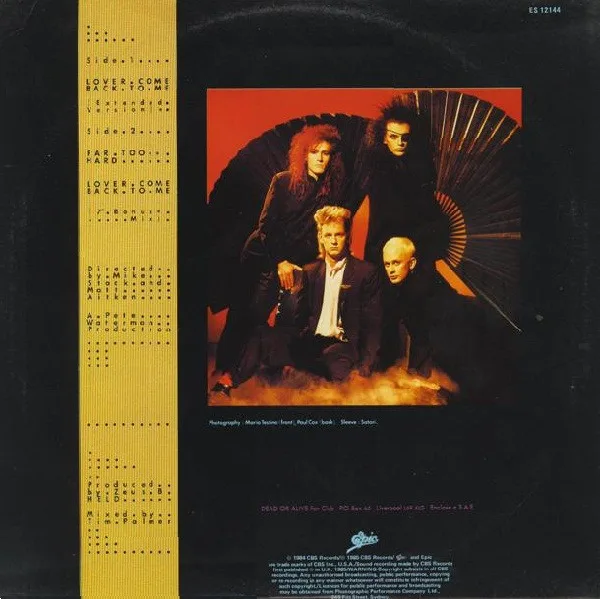 Album cover for Lover Come Back To Me by Dead Or Alive