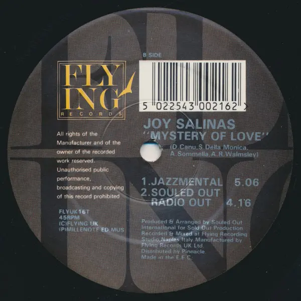 Joy Salinas - The Mystery Of Love (Joey Negro Remix), Electronic, Garage House, 1991 - Flying Records, UK, Vinyl 1x 12", 33 ⅓