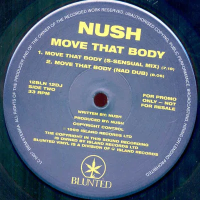 Album cover for Move That Body by Nush