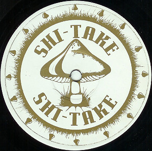 Shi-Take - Digital Domain (The Advent Remixes), Electronic, Techno, 1996 - Zoom Records (2), UK, Vinyl 1x 12"