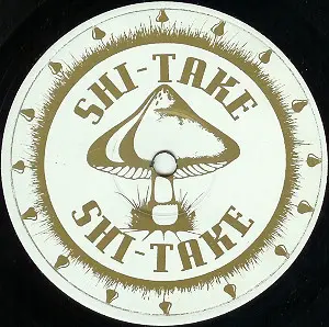 Shi-Take - Digital Domain (The Advent Remixes), Electronic, Techno, 1996 - Zoom Records (2), UK, Vinyl 1x 12"