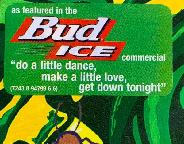 Album cover for Bamboogie by Bamboo