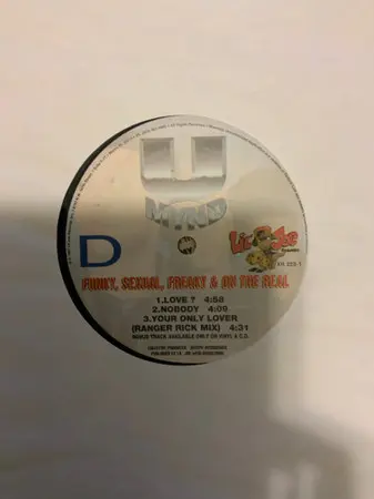 U-Mynd - Funky, Sexual, Freaky & On The Real, Hip Hop, RnB/Swing, 1997 - Lil' Joe Records, US, Vinyl 2x LP