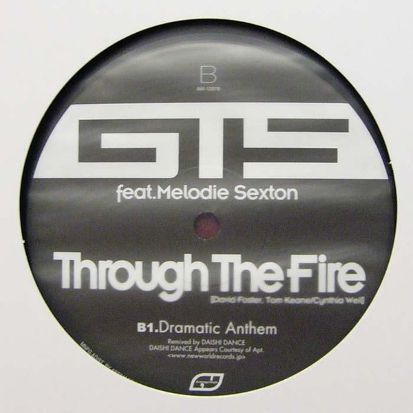 GTS Feat. Melodie Sexton - Through The Fire - Daishi Dance Remixes, Electronic, House, 2007 - Artimage Vinyls, Japan, Vinyl 1
