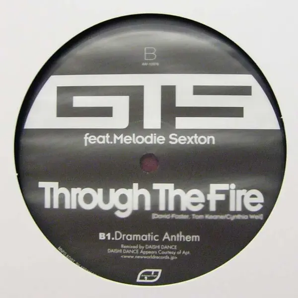 GTS Feat. Melodie Sexton - Through The Fire - Daishi Dance Remixes, Electronic, House, 2007 - Artimage Vinyls, Japan, Vinyl 1