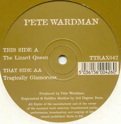 Album cover for The Lizard Queen / Tragically Glamorous by Pete Wardman