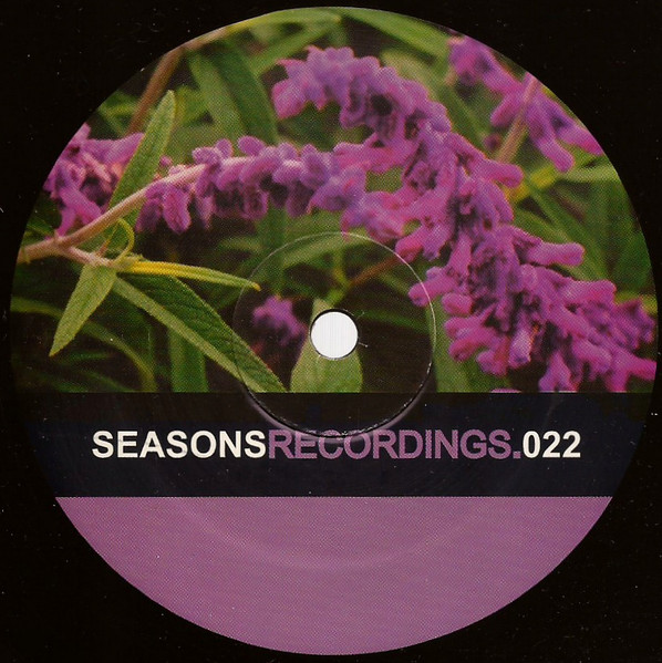 Curb Feelers - Señor Friction, Electronic, Deep House, House, 2000 - Seasons Recordings, US, Vinyl 1x 12", 33 ⅓ RPM