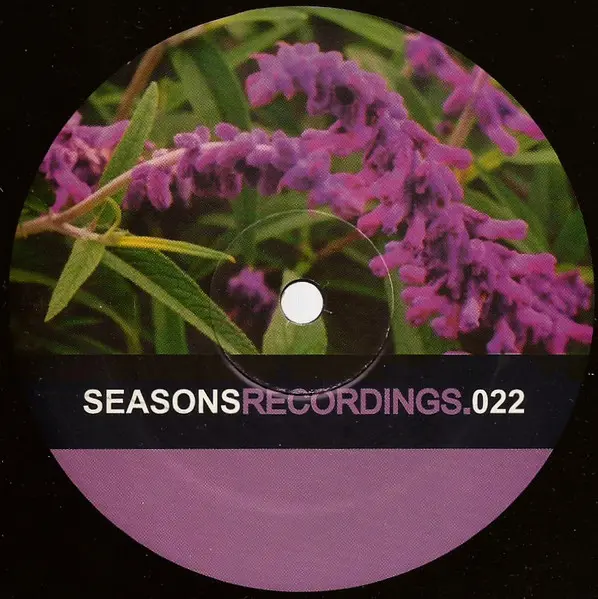 Curb Feelers - Señor Friction, Electronic, Deep House, House, 2000 - Seasons Recordings, US, Vinyl 1x 12", 33 ⅓ RPM