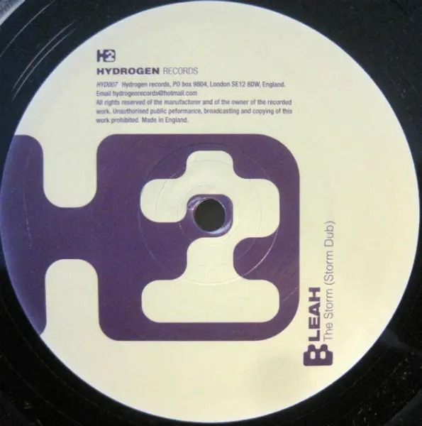 Leah Rasmussen - The Storm, Electronic, Progressive House, 2002 - Hydrogen Records, UK, Vinyl 1x 12"