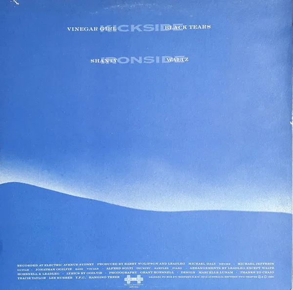 Album cover for Salt by Leadleg