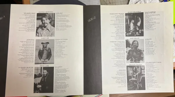 Album cover for It'll Shine When It Shines by Ozark Mountain Daredevils, The