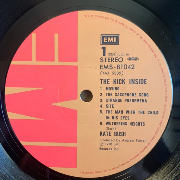 Album cover for The Kick Inside by Kate Bush