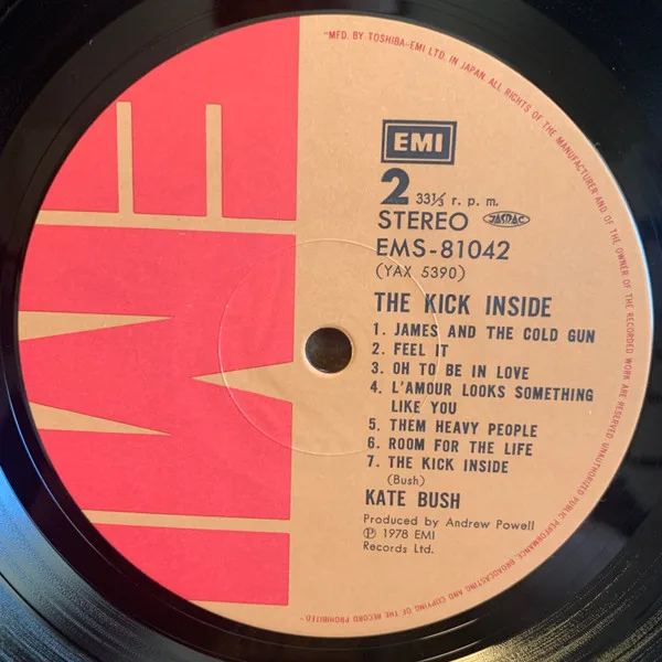 Album cover for The Kick Inside by Kate Bush