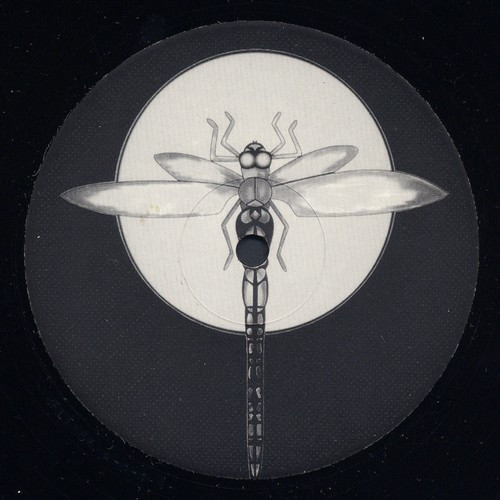 Warp Experience Sampler