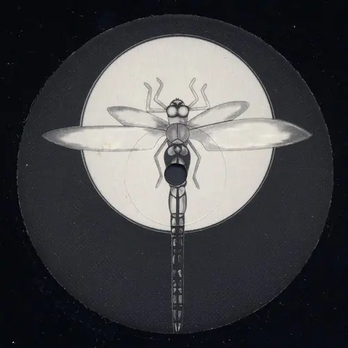 Warp Experience Sampler