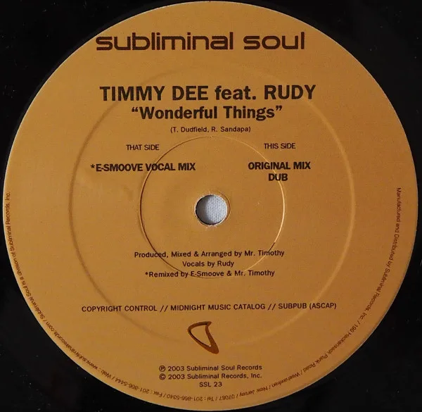 Album cover for Wonderful Things by Timmy Dee Feat. Rudy Sandapa