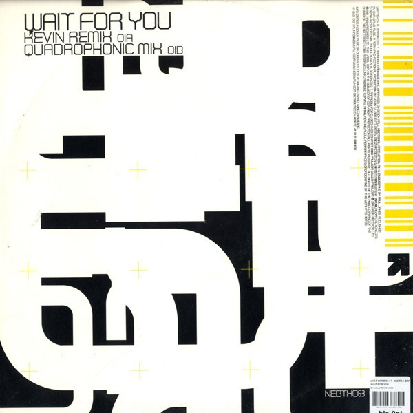 Album cover for Wait For You by Lost Witness Ft. Andrea Britton