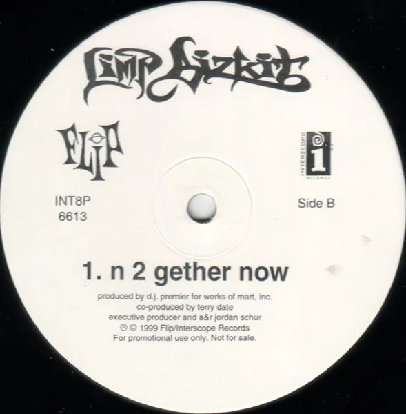 Album cover for N 2 Gether Now by Limp Bizkit