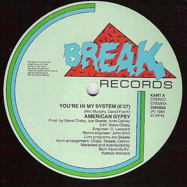 Album cover for You're In My System by American Gypsy