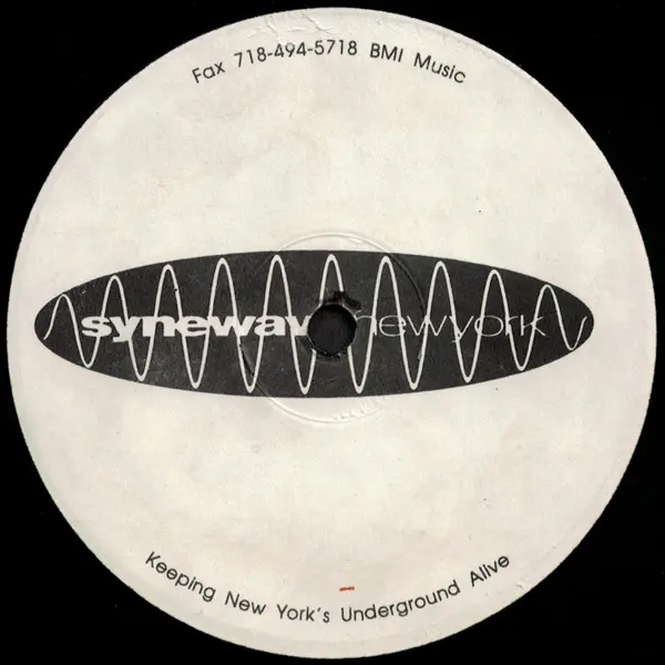 Damon Wild & Tim Taylor - Bang The Acid (The Remixes), Electronic, Acid, Techno, 1995 - Synewave, US, Vinyl 1x 12", 33 ⅓ RPM,