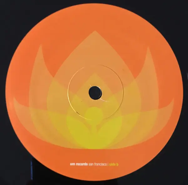 Samantha James - Rise Part Two, Electronic, Deep House, House, 2006 - OM Records, US, Vinyl 1x 12"