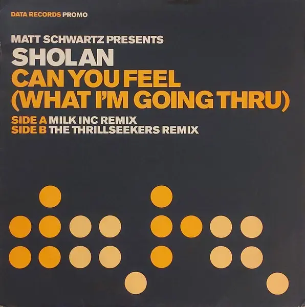 Matt Schwartz Presents Sholan - Can You Feel (What I'm Going Thru) - 2003 - Trance - Data Records - Vinyl 1x 12", 45 RPM, Pro