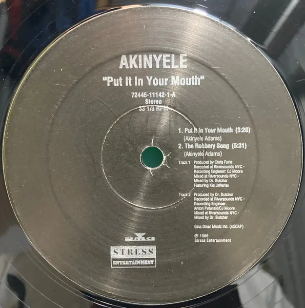 Album cover for Put It In Your Mouth by Akinyele