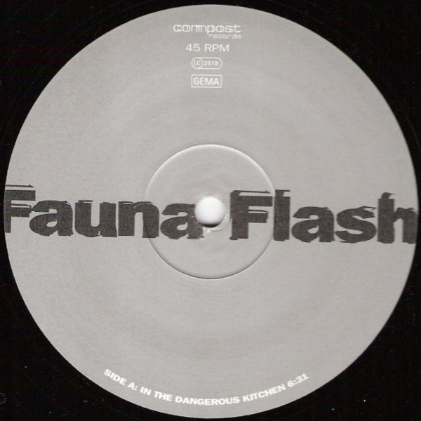 Album cover for In The Dangerous Kitchen / Experimental Error by Fauna Flash