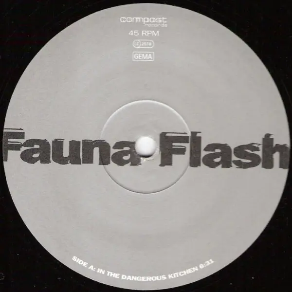 Album cover for In The Dangerous Kitchen / Experimental Error by Fauna Flash