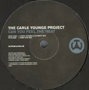 Album cover for Can You Feel The Heat by Carle Younge Project, The