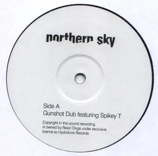 Resin Dogs - Gunshot Dub, Electronic, Hip Hop, Jazz, Breakbeat, Northern Sky, Vinyl 1x 12"