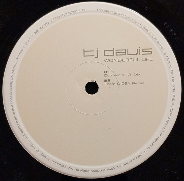 TJ Davis - Wonderful Life, Electronic, Trance, UK Garage, 2001 - Melting Pot Records, UK, Vinyl 1x 12", 33 ⅓ RPM