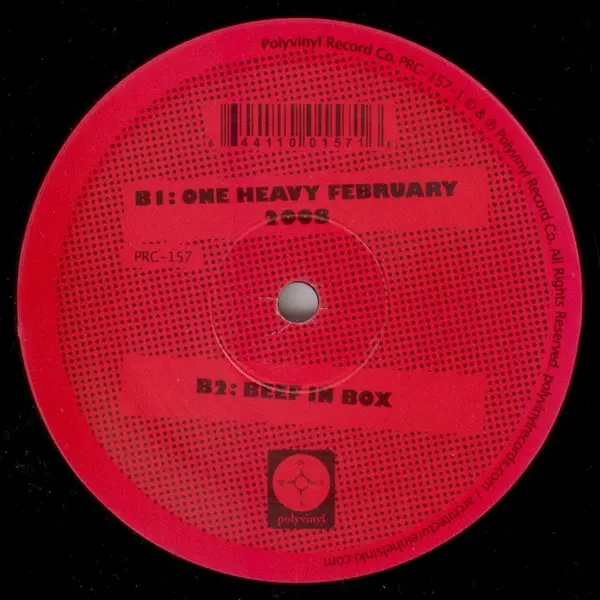 Architecture In Helsinki - Like It Or Not, Electronic, Rock, Disco, Indie Rock, Latin, 2008 - Polyvinyl Record Company, US, V