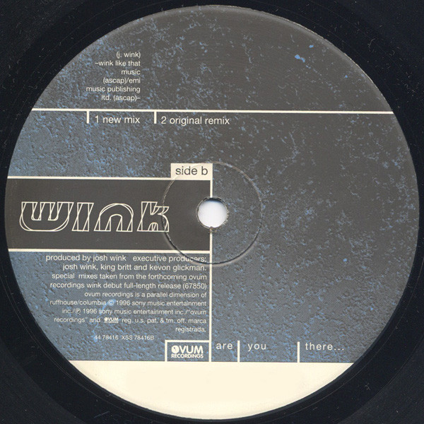 Josh Wink - Are You There..., Electronic, Acid, Breaks, Techno, 1996 - Ovum Recordings, US, Vinyl 1x 12", 33 ⅓ RPM
