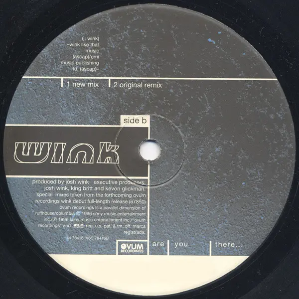 Josh Wink - Are You There..., Electronic, Acid, Breaks, Techno, 1996 - Ovum Recordings, US, Vinyl 1x 12", 33 ⅓ RPM