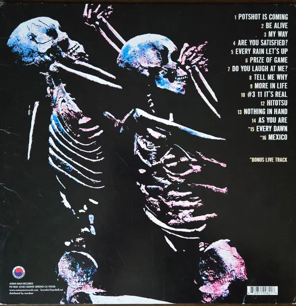 Potshot - 'Til I Die - 2000 -Punk, Ska -Asian Man Records -Vinyl 1x LP, Album