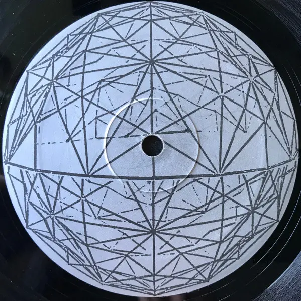 Delicious Inc. - Back To Roots, Electronic, House, 1995 - UMM, Italy, Vinyl 1x 12", 33 ⅓ RPM