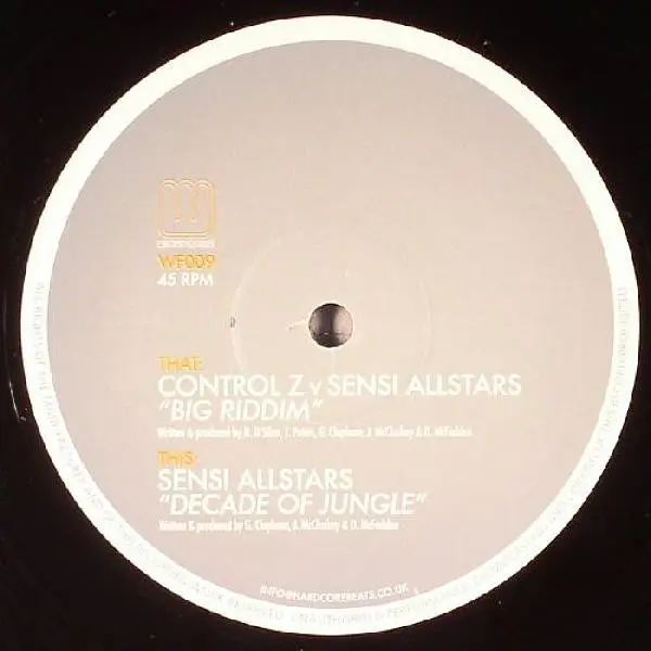 Big Riddim / Decade Of Jungle
