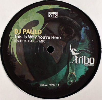 The Brazilian Rainforest / This Is Why You're Here