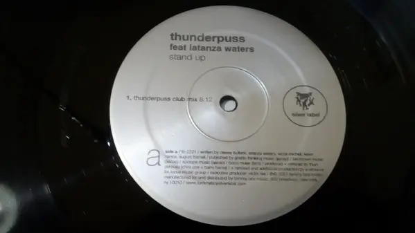 Album cover for Stand Up by Thunderpuss Feat Latanza Waters