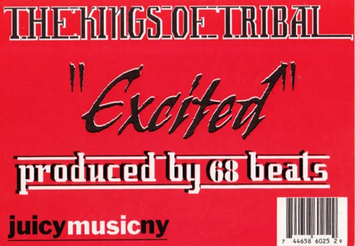 Album cover for Excited by Kings Of Tribal, The